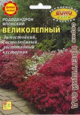 Рододендрон Великолепный японский купить в Москве в интернет-магазине  Семена цветов