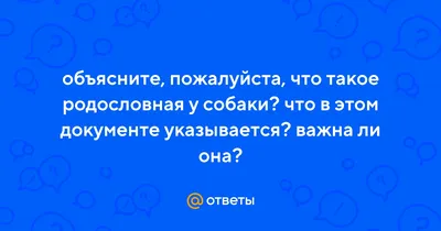 Родословная собаки: как сделать и в каком возрасте, образцы, отличие  подделок