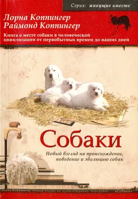 Как определить родословную собаки по клейму? - ЯПлакалъ