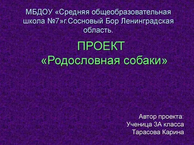 Джек Рассел. Девочка 4 месяца. Все: 20000 KGS ᐈ Собаки | Бишкек | 52066422  ➤ lalafo.kg