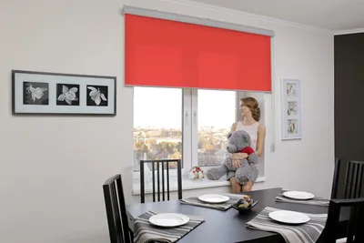 Уместны рулонные шторы в интерьере кухни, их можно использовать как в  однотонном, так и цветном исполнении. Если стены однотонные… | Instagram
