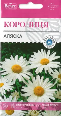 Ромашка крупноцветковая Аляска Семена Украины - купить семена цветов по  самой доступной цене с доставкой по всей Украине - Агромагазин “Фазенда”