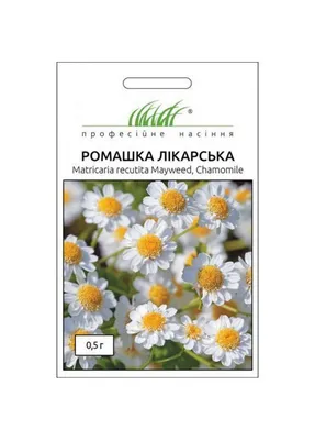 Искусственные цветы Ромашка белая веточкой 30 см ю-2180. Купить  Искусственные цветы оптом в Украине