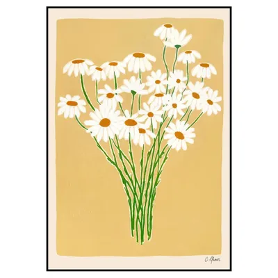 Обыкновенная ромашка, контур цветка ромашки, белый, подсолнечник, симметрия  png | Klipartz