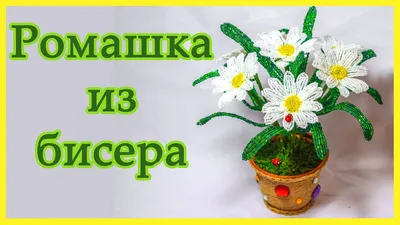 РОМАШКИ из бисера. Мастер класс. - YouTube