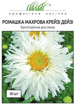 Нивяник (ромашка садовая) Crazy Daisy (Крейзи Дейзи) (ID#842069246), цена:  38 ₴, купить на Prom.ua