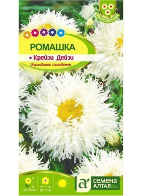 Семена РУССКИЙ ОГОРОД Цветы Ромашка Крейзи Дейзи махровая 25 шт. 703513 -  выгодная цена, отзывы, характеристики, фото - купить в Москве и РФ