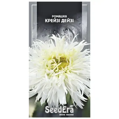 Купить Семена - Ромашка Крейзи Дейзи, хризантемовидная, 0,1 г. ❱❱ ТД Дарвин  ❰❰❰