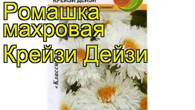 Дом Семян / Ромашка (нивяник) Крейзи Дейзи, 60шт Семена