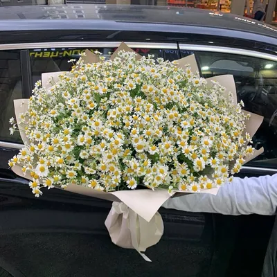 75 кустовых ромашек в букете за 16 490 руб. | Бесплатная доставка цветов по  Москве
