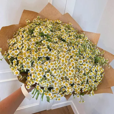 41 кустовая ромашка в букете за 9 790 руб. | Бесплатная доставка цветов по  Москве
