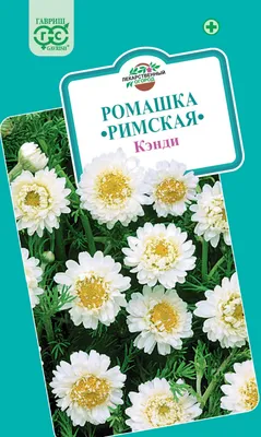 Ромашка аптечная цветки КЛС 50г купить в Москве по цене от 105 рублей