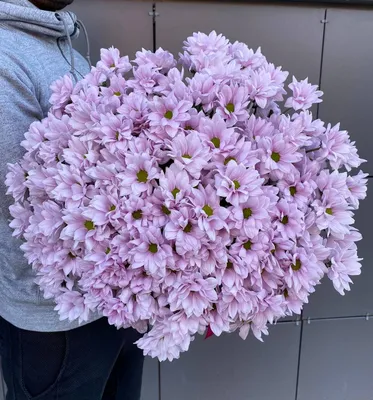 Ромашка Розовая (головка), 5 См — Купить на BIGL.UA ᐉ Удобная Доставка  (703998302)