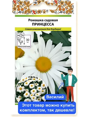 Семена Ромашка садовая Принцесса: описание сорта, фото - купить с доставкой  или почтой России