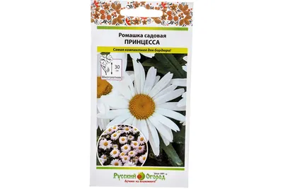 Купить семена: Ромашка садовая Серебряная принцесса - цены,фото,отзывы |  Green-Club.com.ua