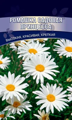 Ромашка Садовая принцесса 0,15г купить в Екатеринбурге в интернет-магазине  ДОМ