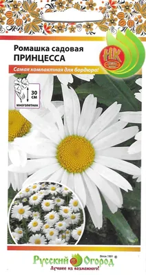 Ромашка НК-Русский огород Ромашка садовая цветы Принцесса - купить по  выгодным ценам в интернет-магазине OZON (539900684)