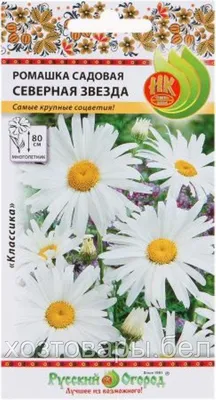 Семена цветов Ромашка ᐈ купить в Киеве: цена, отзывы | ROZETKA