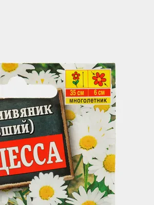 Ромашка садовая ГІГАНТ (кущ): продажа, цена в Сумской области. Саженцы  декоративных деревьев и кустарников от \"Интернет-магазин \"Красиві квіти для  Вас\" сайт: dlavas.com.ua\" - 1265501257