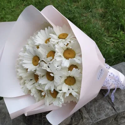 Букет из ромашек и оксипеталума - заказать доставку цветов в Москве от Leto  Flowers