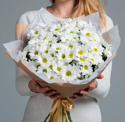 Букет ромашек (танацетум) - Доставкой цветов в Москве! 6187 товаров! Цены  от 487 руб. Цветы Тут