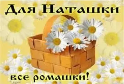 Мои любимые цветы ромашки-наташки | Наталья Левина | ВКонтакте
