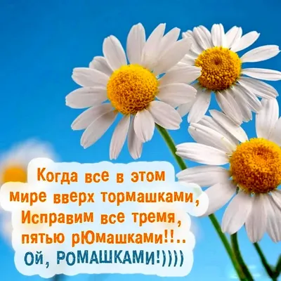 Часы \"Ромашки для Наташки, ...\" в интернет-магазине Ярмарка Мастеров по  цене 6800 ₽ – 6GR31BY | Часы классические, Березники - доставка по России