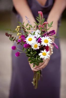Ромашки | Купить букет цветов с ромашками в СПБ с бесплатной доставкой |  Amsterdam Flowers