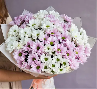 Букет из 11 веточек ромашки - заказать и купить цветы с доставкой | Donpion