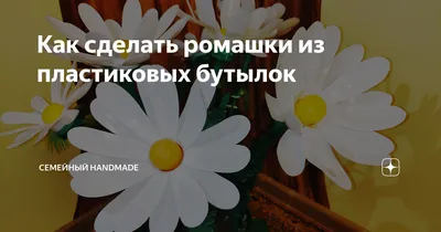 Цветы из пластиковых бутылок: что можно сделать своими руками? Фото с  описанием и пошаговая инструкция по украшению сада или огорода