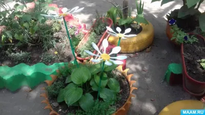Ромашки - цвет для сада из пластиковой бутылки. Делаем сами для дачи