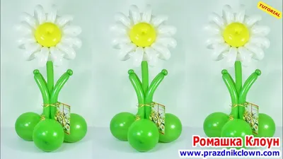 №11.22 Букет из шаров белые ромашки
