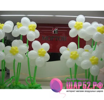 Ромашки из шаров » Интернет-магазин Шар52 Нижний Новгород. Магазин  оригинальных подарков
