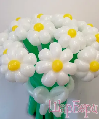 Ромашка из воздушных шаров цветы букет с бантом Daisy of balloons - YouTube