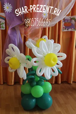 Ромашки из шариков купить с доставкой в Нижнем Новгороде по низкой цене от  компании «Территория праздника»
