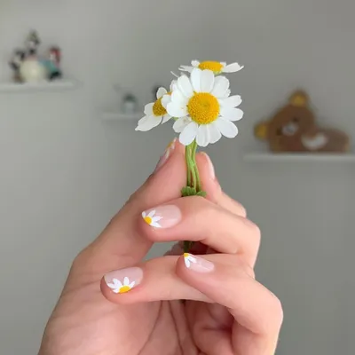 ДИЗАЙН НОГТЕЙ - Ромашки под браслет - Nail Art - YouTube