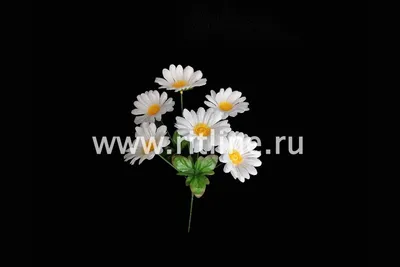 Купить «Букет их хризантем « Ромашки в снегу»» с доставкой в Омске -  «SIBFLORA»