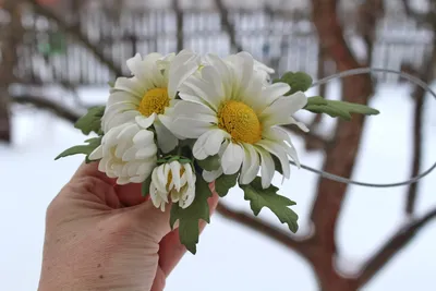 Ромашки спрятались, поникли лютики.... Фотограф Шангареев Марс