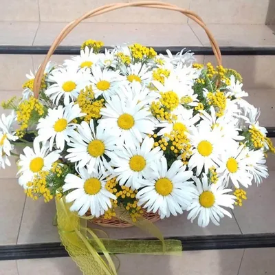Крупные ромашки в корзине за 8 690 руб. | Бесплатная доставка цветов по  Москве