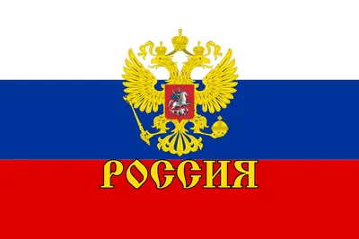 России пора осушать либеральное \"болото\" в науке и образовании - РИА  Новости, 26.12.2023