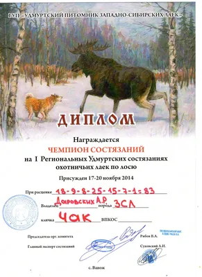 Западно Сибирская Лайка - г. Москва - Hunting dog