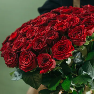 Букет из 51 красной розы 50 см (Россия) купить в СПб в интернет-магазине  Семицветик✿