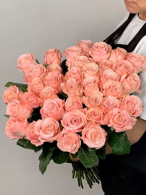Цветы «Роза Россия «Saidа»» с доставкой
