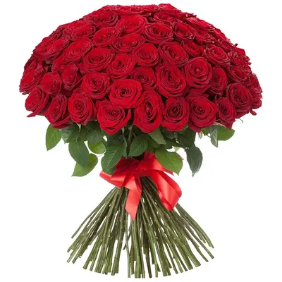 Купить Розы Россия красные в Москве за 105 руб. | Быстрая доставка цветов