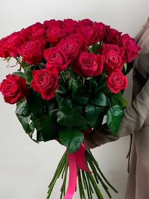 Цветы «Роза Россия Shangri-La» с доставкой