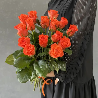 Розы Россия красные 15 шт. 50 см купить с доставкой по цене 4175 ₽ в Нижнем  Новгороде | Букеты от База Цветов 24