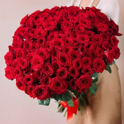 51 красная роза Ред Наоми Россия 60 см. - купить цветы с доставкой по  Москве и МО от 5990 руб | «Букет-Маркет»