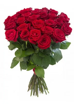 Цветы «Роза Россия кустовая пионовидная «Silva Pink»» с доставкой
