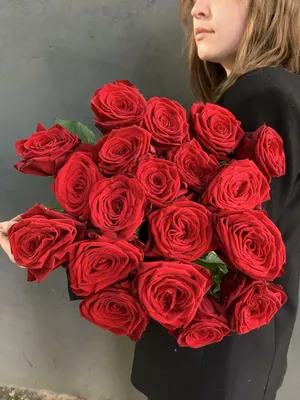 Розовые розы Россия 60 см шт. купить с доставкой по Краснодару