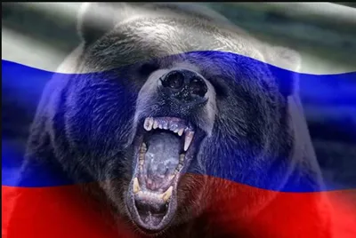 Российского флага с медведем фотографии